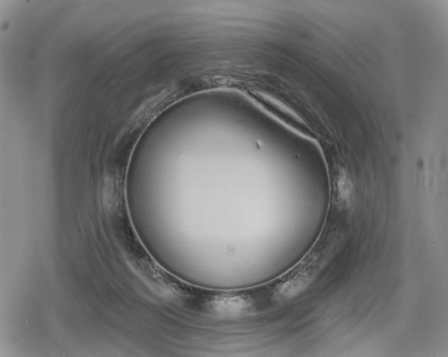 X0000078830218200611201256