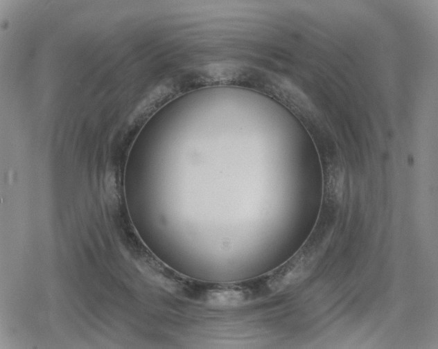 X0000078830220200611201256