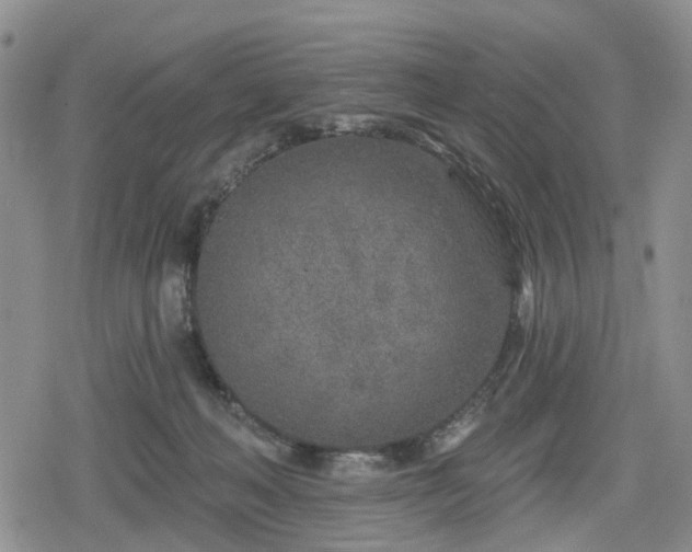 X0000078830222200611201256