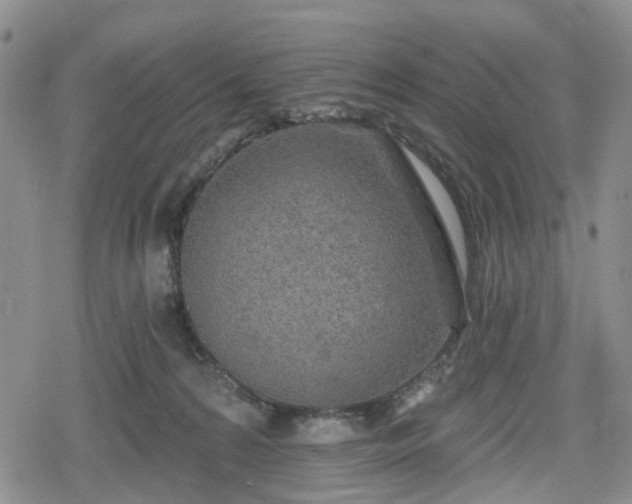 X0000078830224200611201256