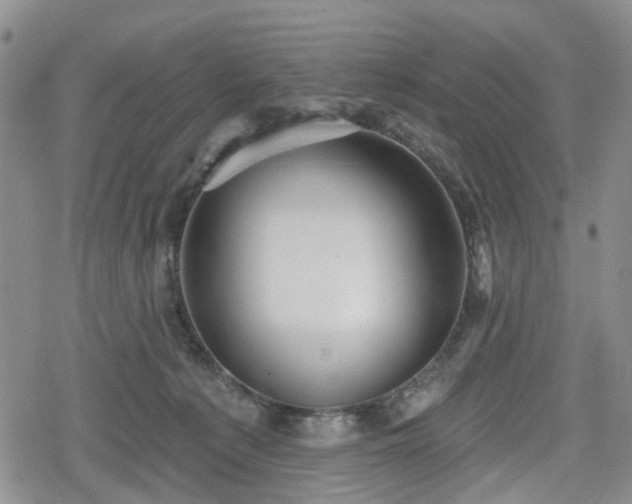 X0000078830225200611201256