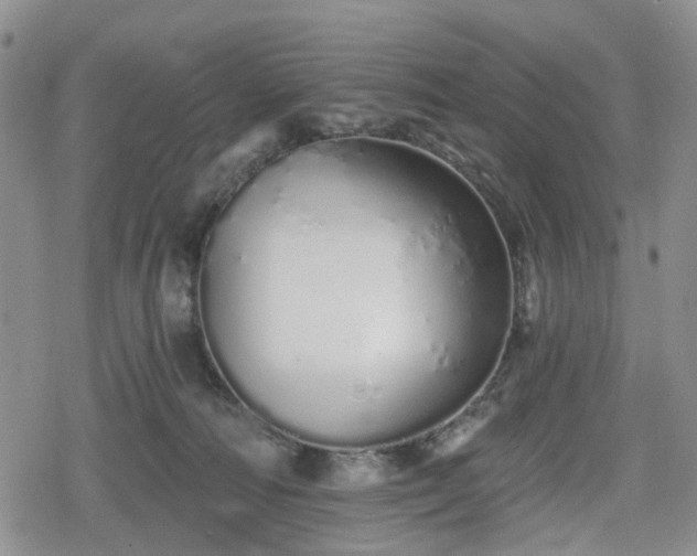 X0000078830226200611201256