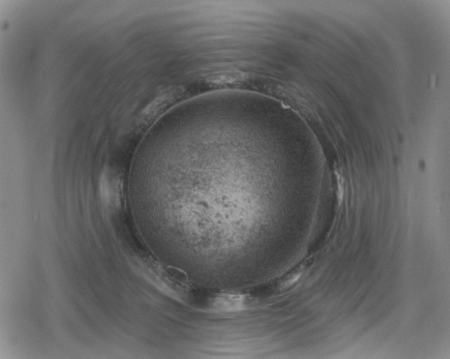 X0000078830227200611201256