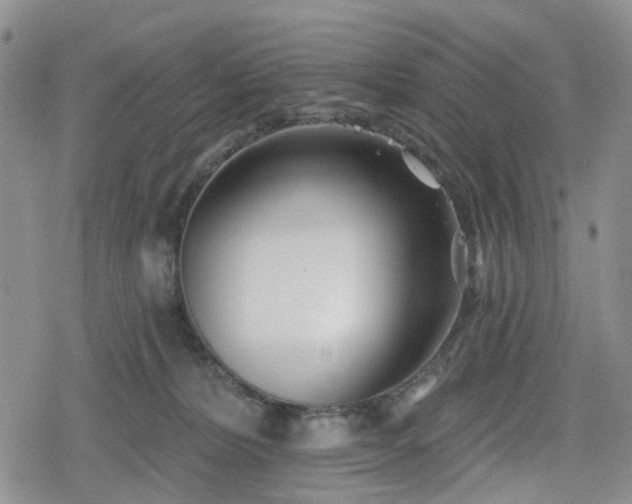 X0000078830228200611201256