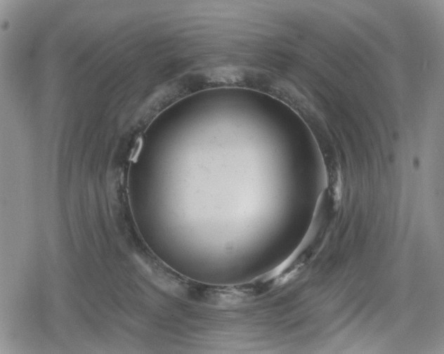 X0000078830229200611201256