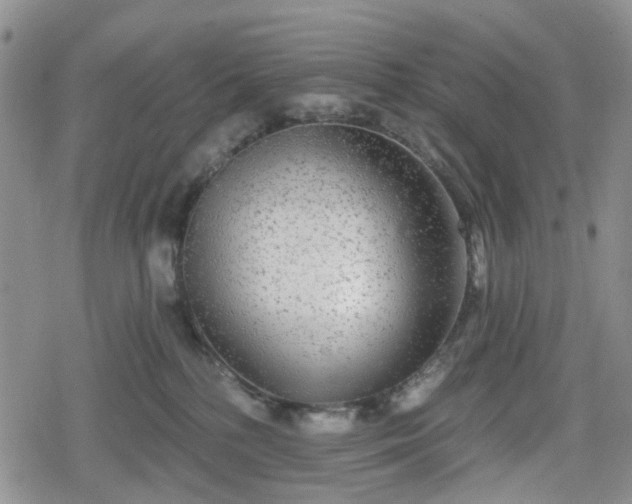 X0000078830232200611201256