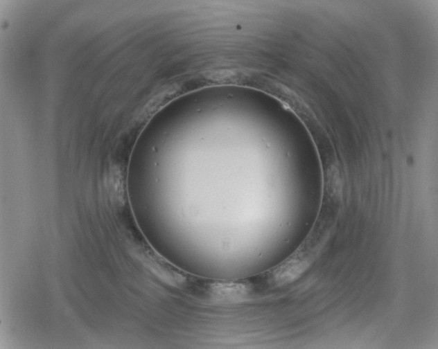 X0000078830234200611201256