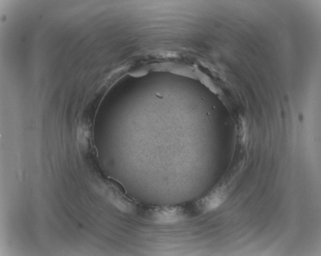 X0000078830235200611201256