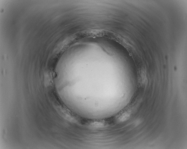 X0000078830236200611201256