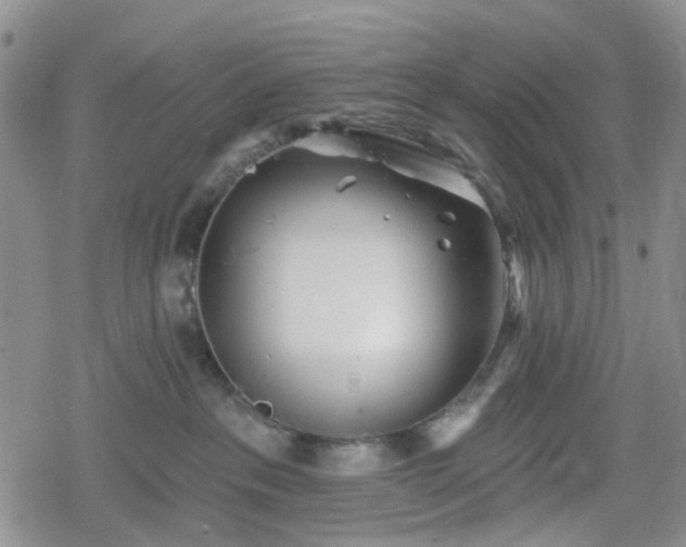 X0000078830237200611201256