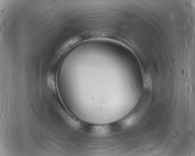 X0000078830238200611201256