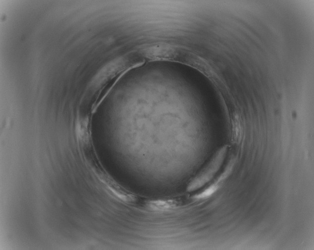 X0000078830239200611201256