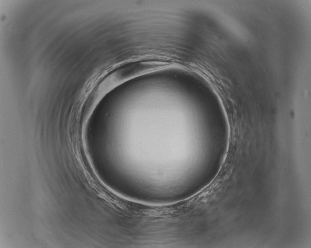 X0000078830241200611201255