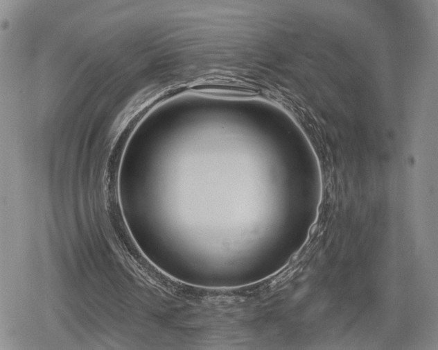 X0000078830242200611201255