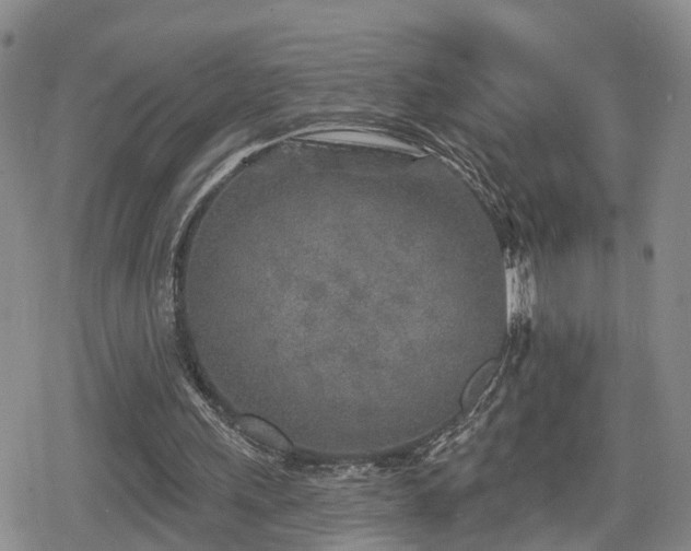 X0000078830243200611201255