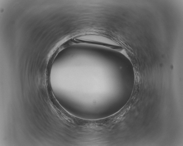 X0000078830244200611201255