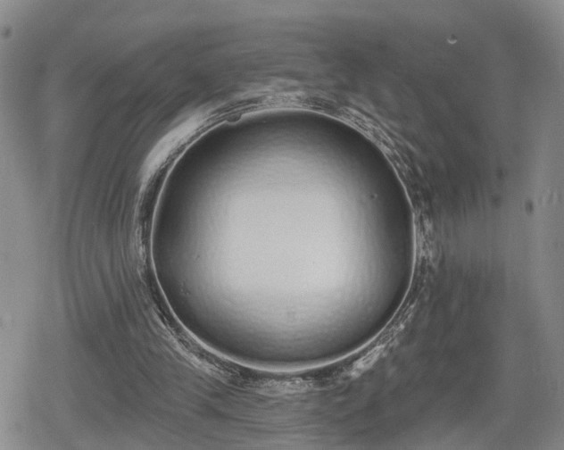 X0000078830245200611201255