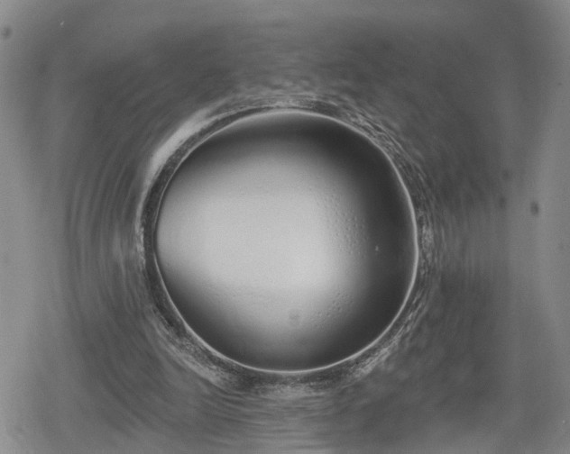 X0000078830246200611201255