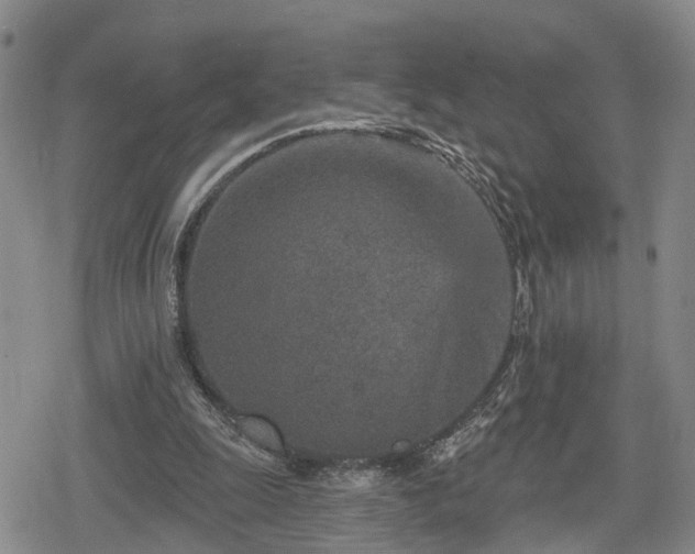 X0000078830247200611201255