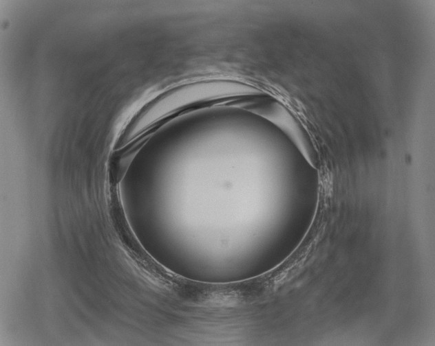 X0000078830248200611201255