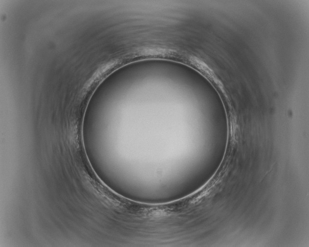 X0000078830249200611201255