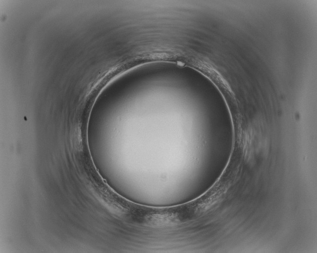 X0000078830251200611201255