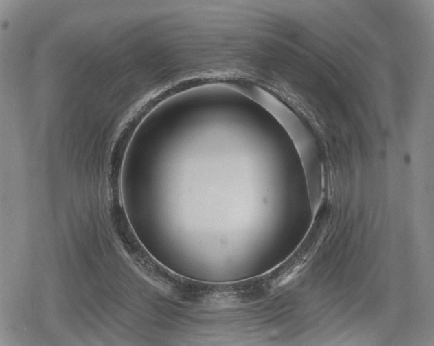 X0000078830252200611201255