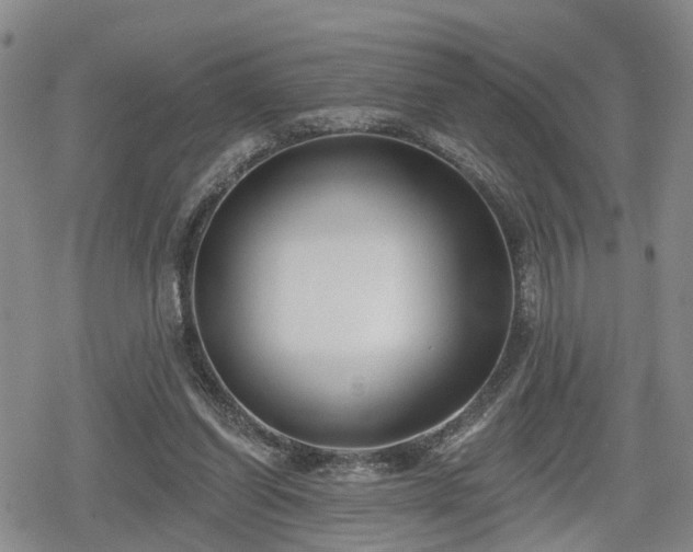 X0000078830254200611201255