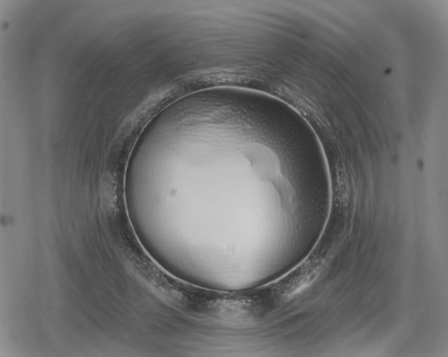 X0000078830255200611201255