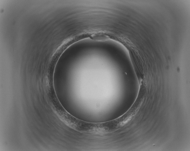 X0000078830256200611201255