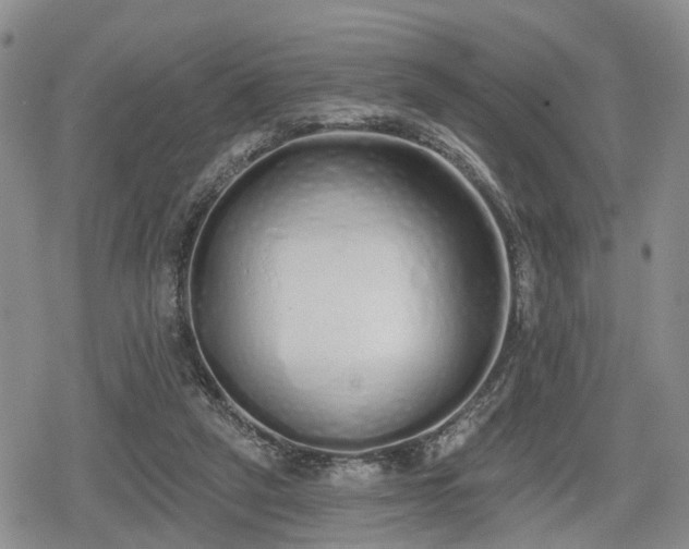 X0000078830257200611201255