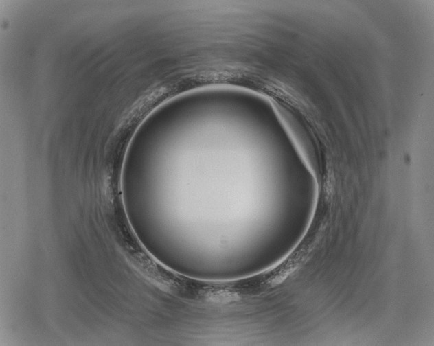 X0000078830258200611201255