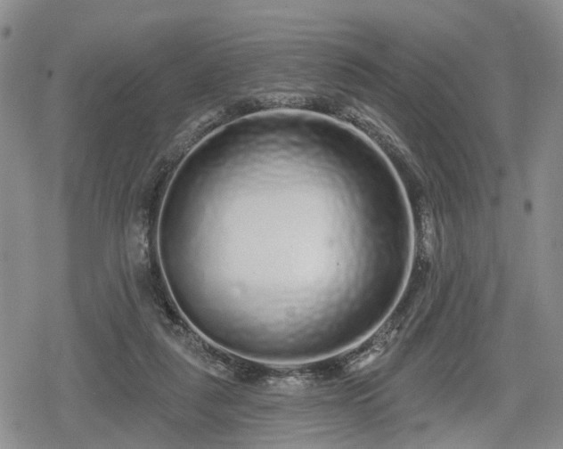 X0000078830259200611201255