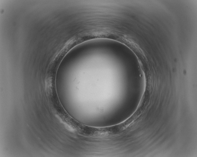 X0000078830260200611201255