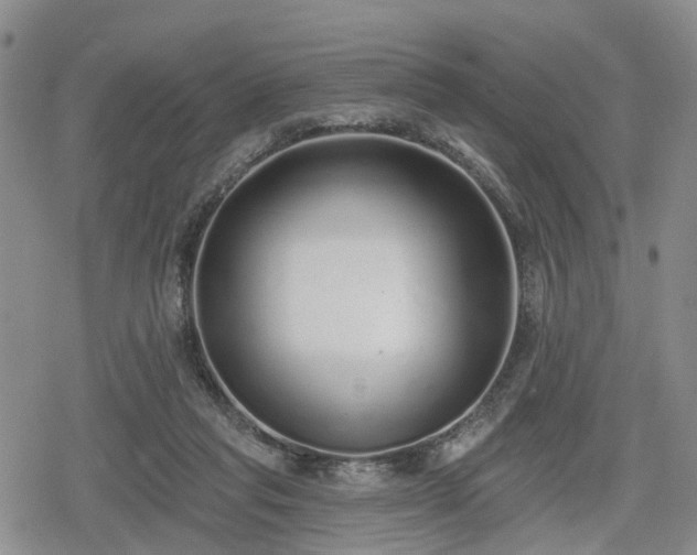 X0000078830261200611201255