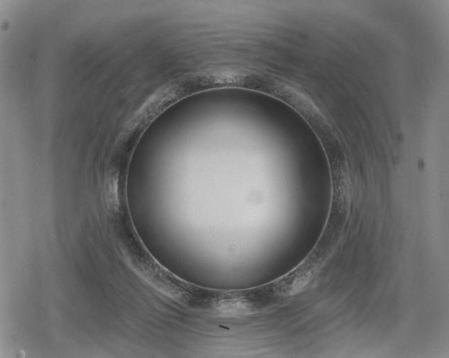 X0000078830262200611201255