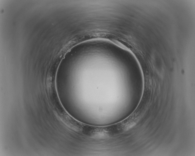 X0000078830263200611201255