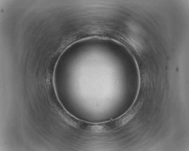 X0000078830265200611201255