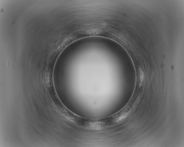 X0000078830268200611201255