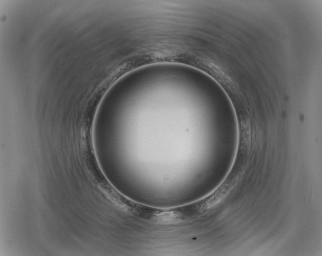 X0000078830269200611201255