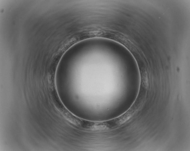 X0000078830270200611201255