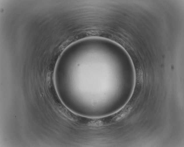 X0000078830271200611201255