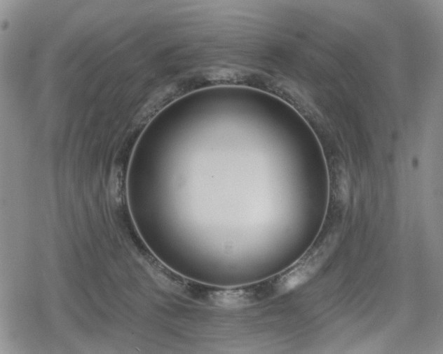 X0000078830273200611201255