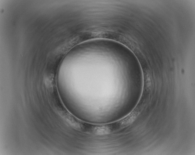 X0000078830275200611201255