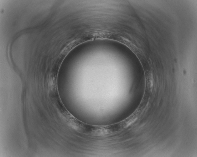 X0000078830276200611201255