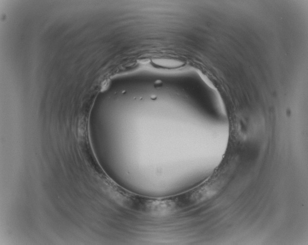 X0000078830277200611201255