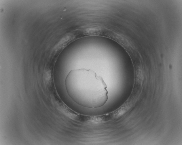 X0000078830278200611201255