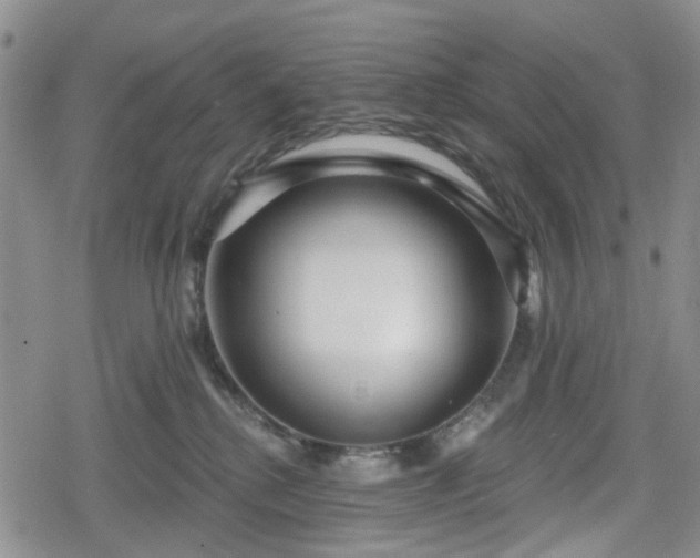 X0000078830280200611201256