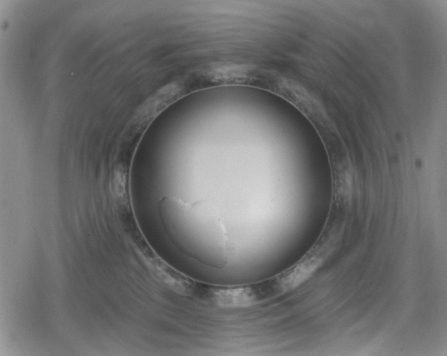 X0000078830281200611201256