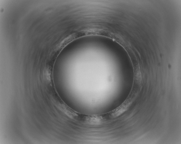 X0000078830282200611201256